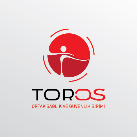 Toros